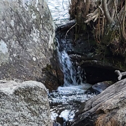 American Citzen, Converted long-term Republican to America First Conservative