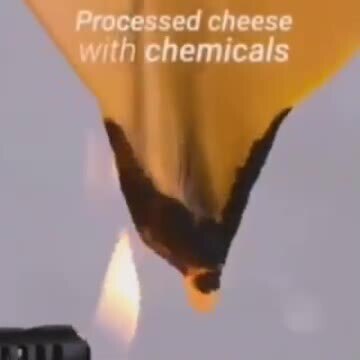 Generally the food in America is so bad that it's literally one molecule away from being pure plasti...