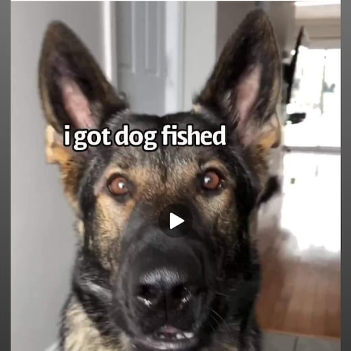 Does anybody ever remember seeing any inside pictures of any of the  9/11 buildings from any news ou...