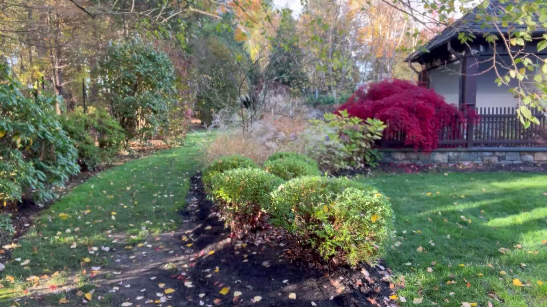 2022.10.31 尊敬的战友们好，很多香港和国内的战友的留言无法一一回复．在这个视频中，我简单的给大家谈一下我的观点．莘县阳谷．县达县咱们走着看．共产党你完了！