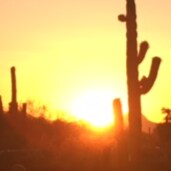 The Stand is my favorite book even if Stephen King is a libtard, and right now it is our time to STAND