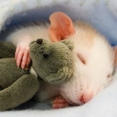 gemeinsam sind wir stark!