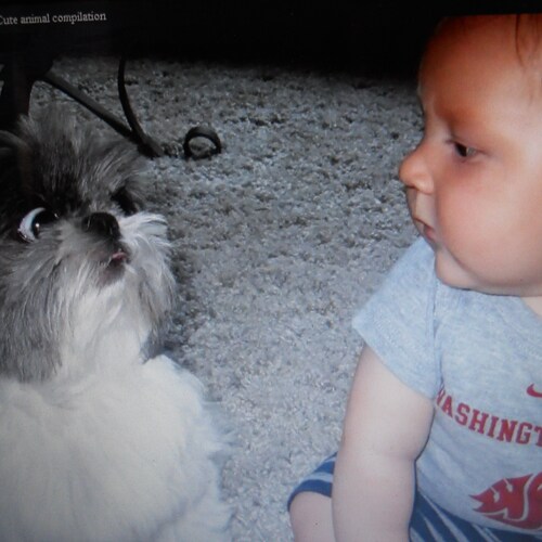 I came from the ex-freedom/democracy place of Hong Kong, I love freedom & democracy-may be more than other American peop...