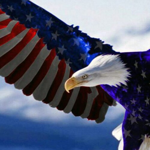 Truth seeker and truth teller; My badge of honor: Twitter suspended and shadow banned.