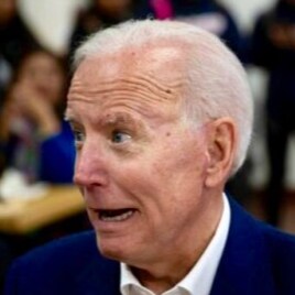 Attorney, Investigator, MAGA, Hall of Fame Caliber Uncle, Bachelor and All Around Swell Guy.