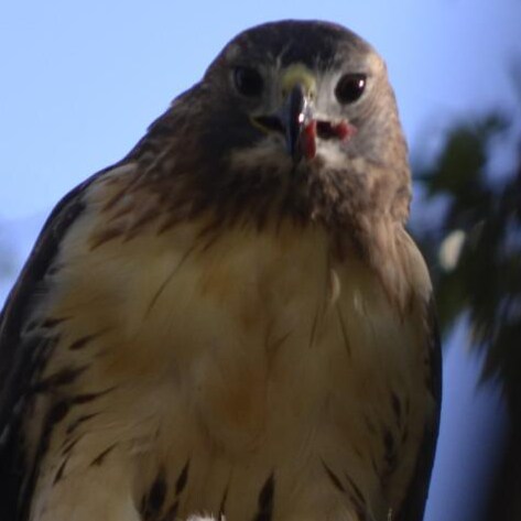 I am just a guy that works a job, pay's his bills, and tries to be a benevolent force in the universe. We all just arriv...