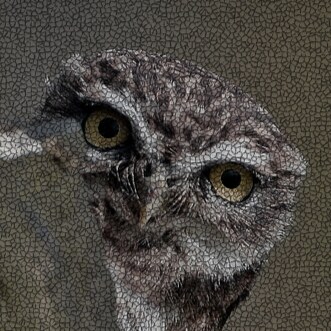 Think-Plan-Organize-Act. Okay, you're angry, now what? You have a right to conceal carry, are you tr...