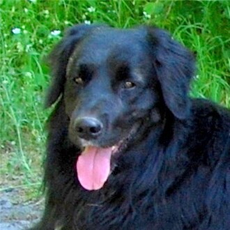 Visit Oldney's profile on GETTR. View their posts, photos, videos, and connect with them on the social platform.