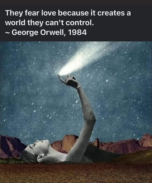 Leftists are anti-American. They do not value Freedom, The Constitution, The Bill of Rights, Individ...