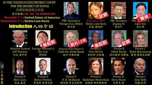 Hawaii Businesswoman Pleads Guilty to Facilitating Back-Channel Lobbying Campaign to Drop 1MDB Inves...