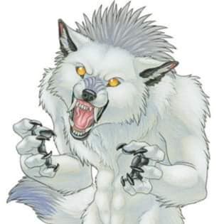 Kritters & Quarters
In Home Pet Sitting
Umatilla, FL Area, $30/Day
Text: 352 408 3820