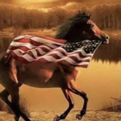 Trumps America First Supporter/ MAGA