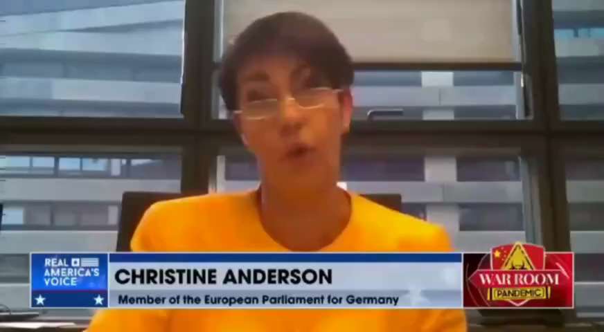 Christine Anderson (Member of the EU Parliament AFD) to Steve Bannon: “People need to be aware, ther...