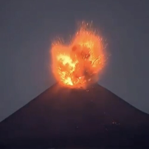 永遠追隨柒哥