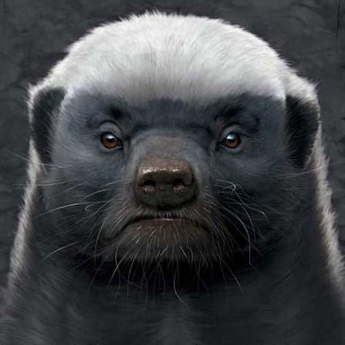 跟定那一盏灯！因为见过了光明，所以再也不能忍受黑暗！一盏灯，终将成为一轮旭日！