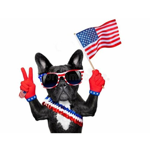 ONE NATION UNDER GOD, AMERICA FIRST‼️🇺🇸