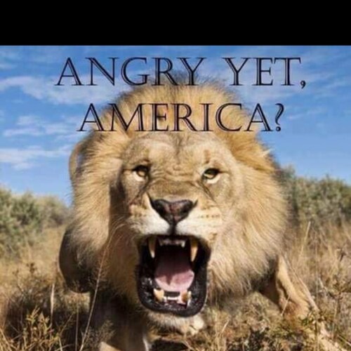 #TrumpIsMyPresident #MAGA #TimeToDivideTheCountry #Patriot #WWG1WGA #ProudToBeAnAmerican