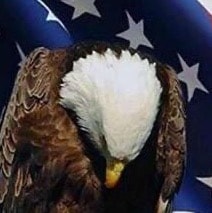 Visit Nana3X's profile on GETTR. View their posts, photos, videos, and connect with them on the social platform.