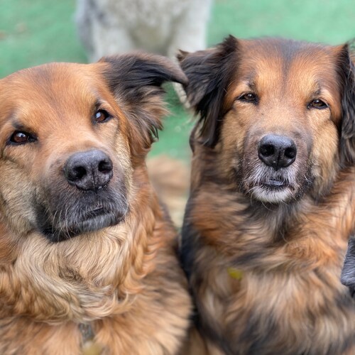 I’m just a simple man who wants to be left alone. Live and let live, it’s not a difficult concept.