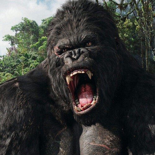 -Testosterone fueled 
-Fights for masculinity 
-Alpha Male
-Freedom Fighter
-Live American, Die American
-Patriot