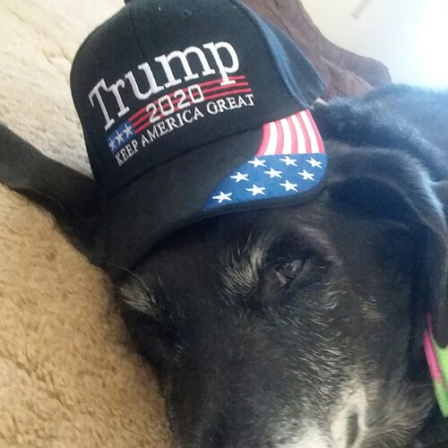 Visit syreindl54311's profile on GETTR. View their posts, photos, videos, and connect with them on the social platform.