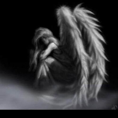 MAGA PATRIOT Daughter of a Combat Vet that served w the 3rd Herd 66 67...Who was stolen from me in January by Agent fuking Orange... MY LOYALTY IS UNSHAKABLE