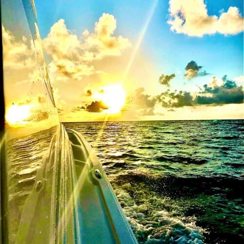 🇺🇸🇺🇸🇺🇸