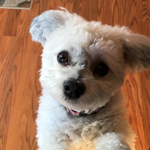 love God and Country