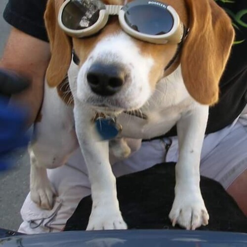 Red and not commie red - Banned by Twatter for being a Troll - I'm no troll🙃