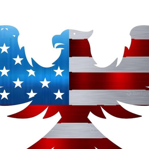 ULTRA MAGA
Grumpy old man
Let’s Go Brandon