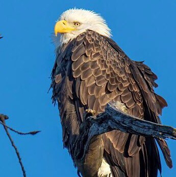 Pangu created the heaven and the earth