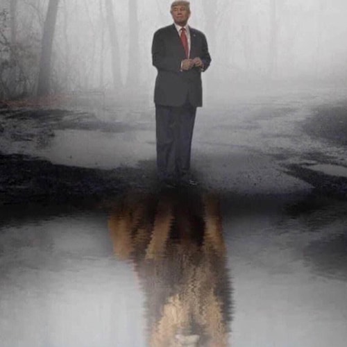 Loves America and beautiful Ol Glory. MAGA, wife, mother, grandmother, and breast cancer survivor.