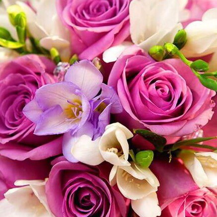 Disaster aid, licensed mental health counselor; biological sciences.
Proud #Jewish woman; #ProAmerica #ProIsrael.