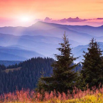 Christian, patriot, wife, mother, grandmother, pro 1A, pro 2A, love God, my country and freedom 🇺🇸