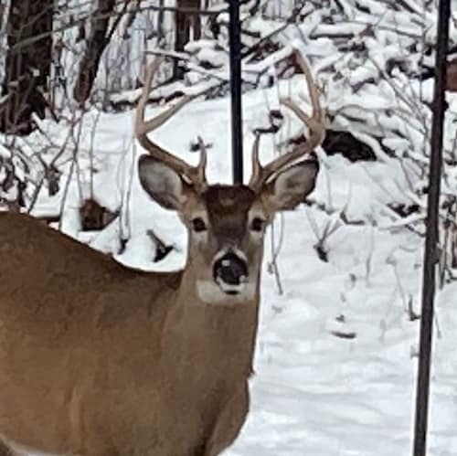 Visit Michael🍊's profile on GETTR. View their posts, photos, videos, and connect with them on the social platform.