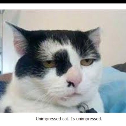 You could be doing anything right now, but you're reading this