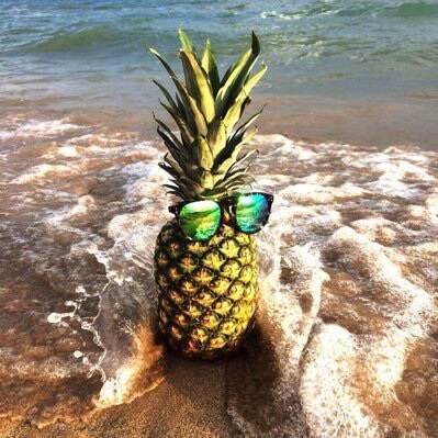 I make Piña Colada with 🥥 Calmest Pineapple to ever Calm or Pineapple. Pronouns: Go/Fuck/Yourself