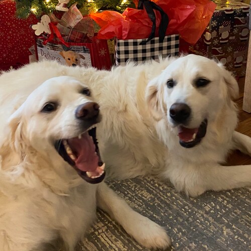 Christian, Child Protecter, Free Thinker