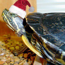 I will not eat the bugs. I will not live in the pods. I am probably not wearing the pants.
Meme Repository