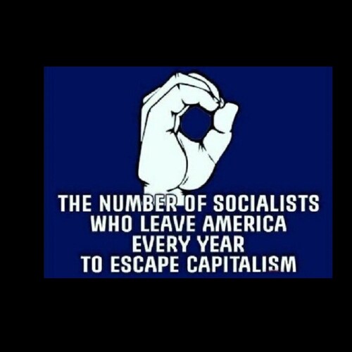 Working hard cleaning the windows that have been licked by the left