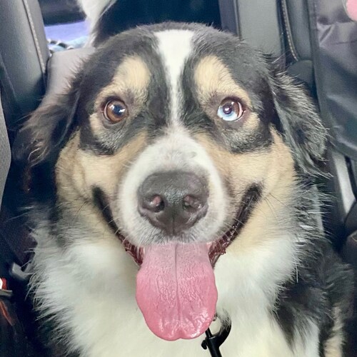 retired law enforcement