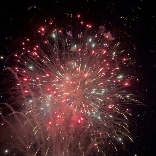 Visit Vicki Hoffman 🍊's profile on GETTR. View their posts, photos, videos, and connect with them on the social platform.