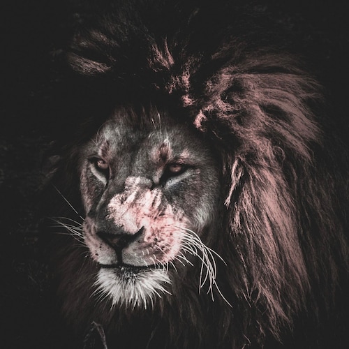 Save this for later..!