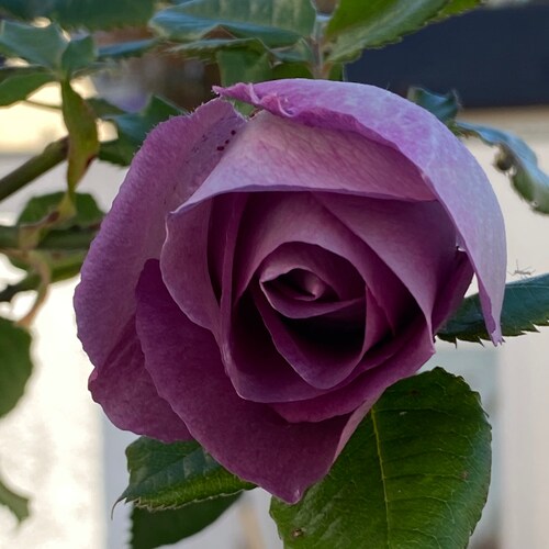 Visit Christine Ann's profile on GETTR. View their posts, photos, videos, and connect with them on the social platform.