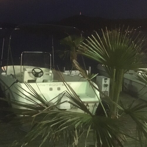 Visit bernd_67's profile on GETTR. View their posts, photos, videos, and connect with them on the social platform.