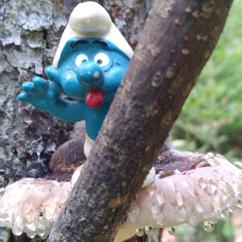 Visit tscaldwell's profile on GETTR. View their posts, photos, videos, and connect with them on the social platform.