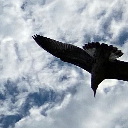 Das Nachrichtenportal