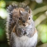 Visit Squarepeg3's profile on GETTR. View their posts, photos, videos, and connect with them on the social platform.