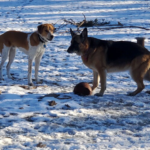 Visit 500snipe's profile on GETTR. View their posts, photos, videos, and connect with them on the social platform.