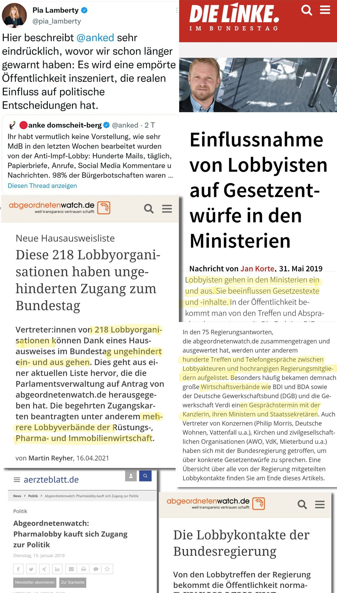 Die LINKE Anke Domscheidt-Berg beschwert sich über Einflussnahme der Bürger durch Social Media Komme...